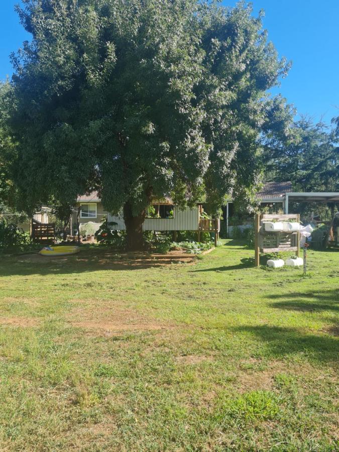 Farm On The Orchards *