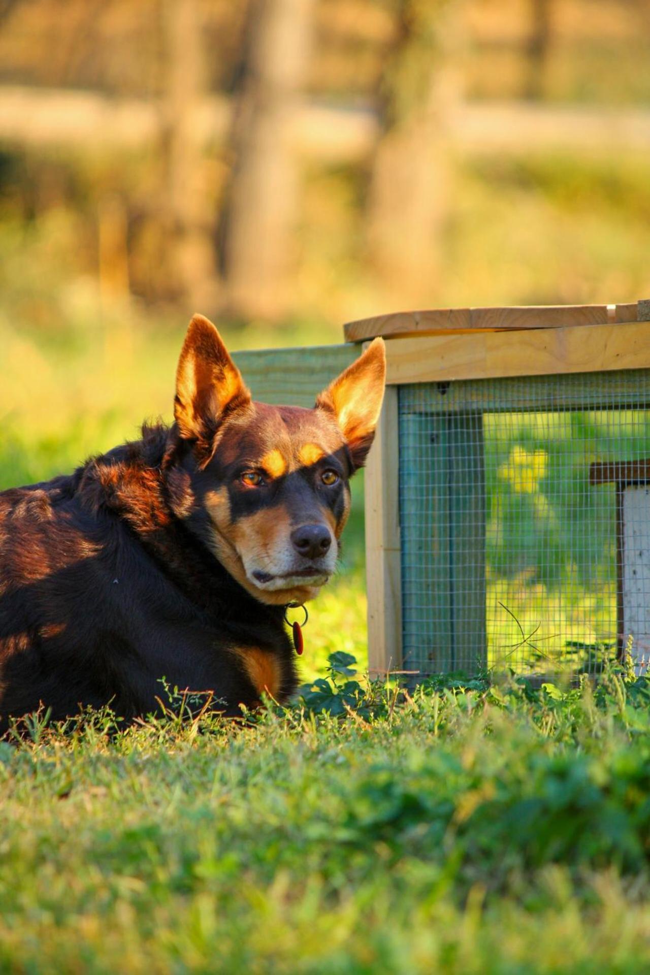 Homestay Farm On The Orchards