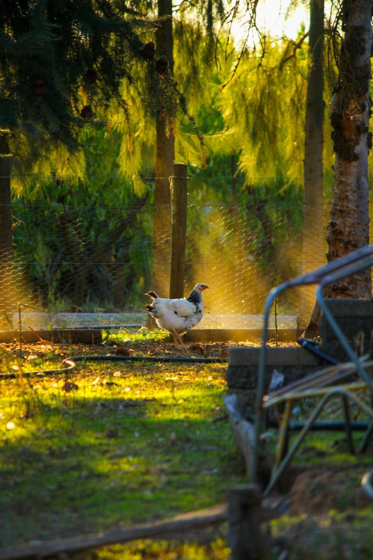 Homestay Farm On The Orchards